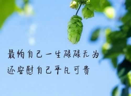 专帮被黑的提款qq 应对思路（图）