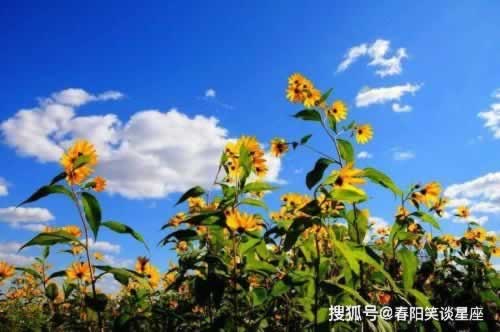 谁能解决取款一直风控审核中提现失败 补救措施（图）