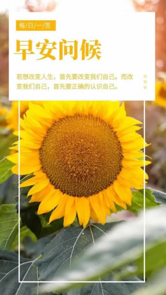 网上不给出款被黑不给出款亲身经历讲解碰到了怎么搞（图）