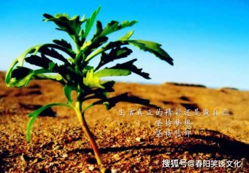 网上账户违规下注 补救措施（图）