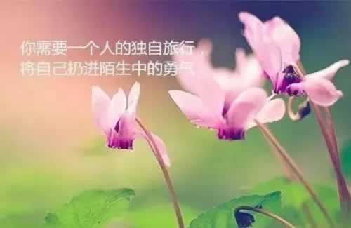 揭秘财务清算无法取款怎么办大家怎么解决（图）